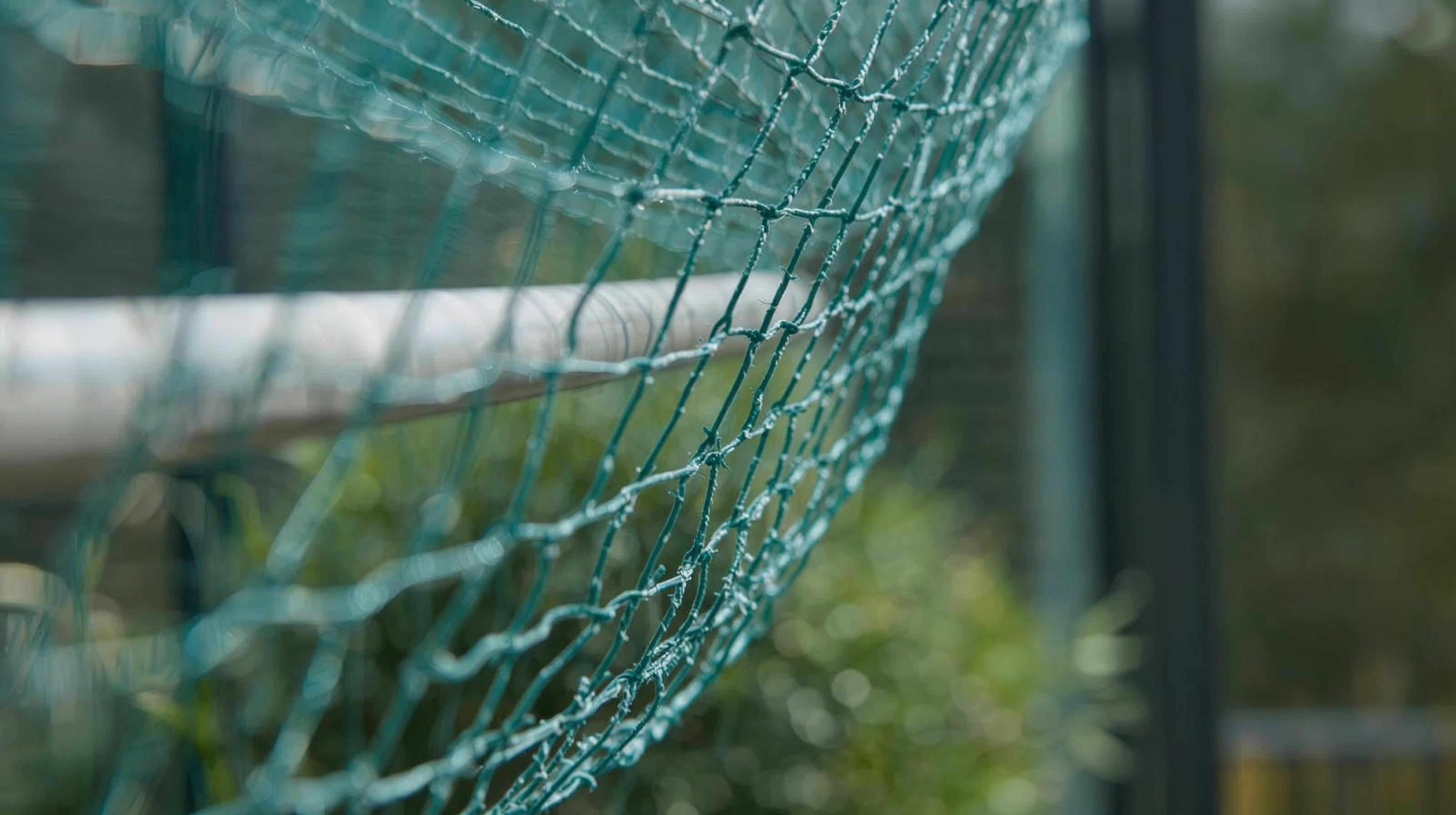 Kuş Ağı ve Kuş Filesi Kurulumu: Profesyonel Koruma, Dayanıklı Malzeme ve Uygulama Rehberi