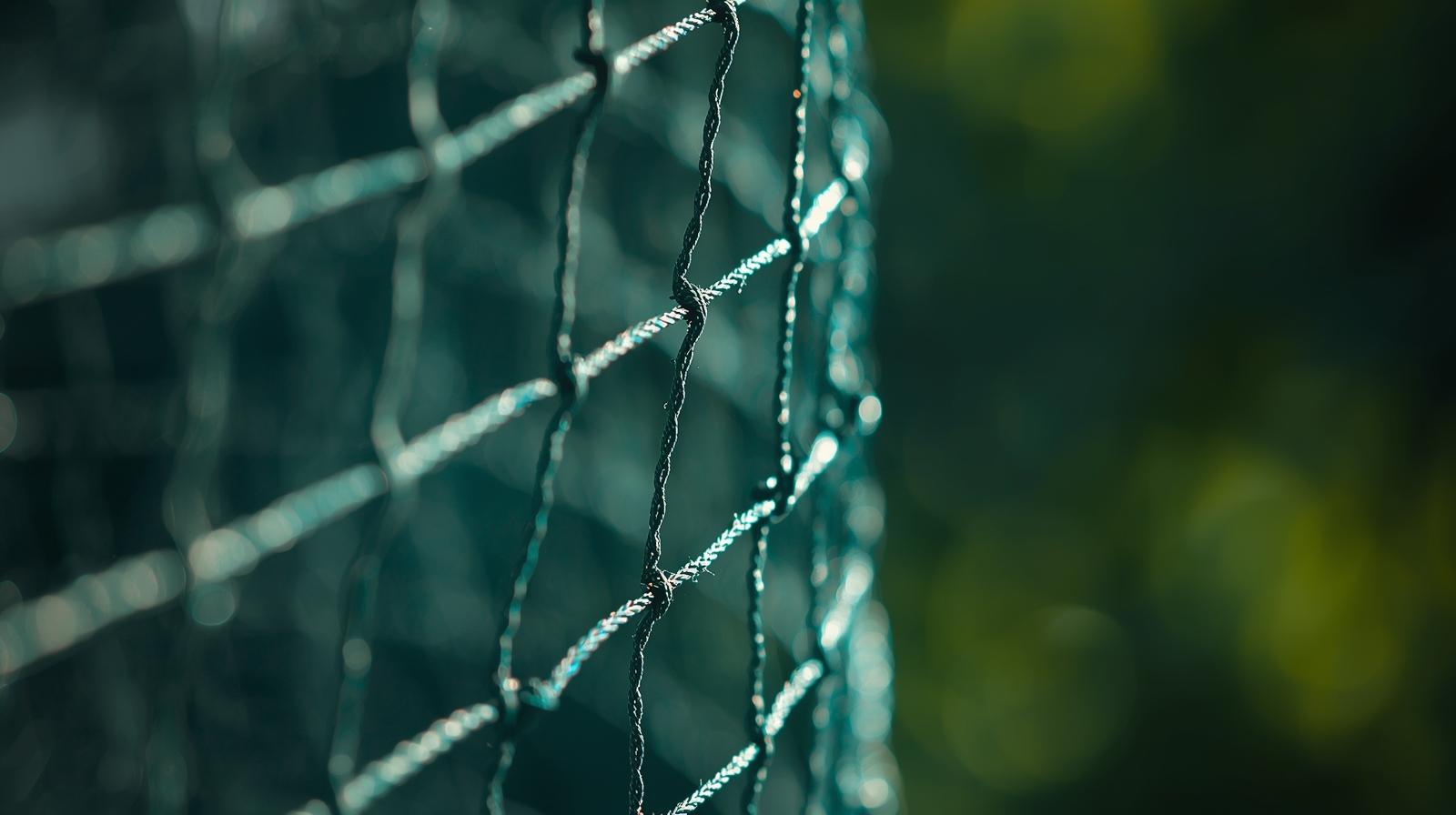 Kuş Filesi Yaptırma Zorunluluğu Nedir? 2025 Güncel Bilgilendirme